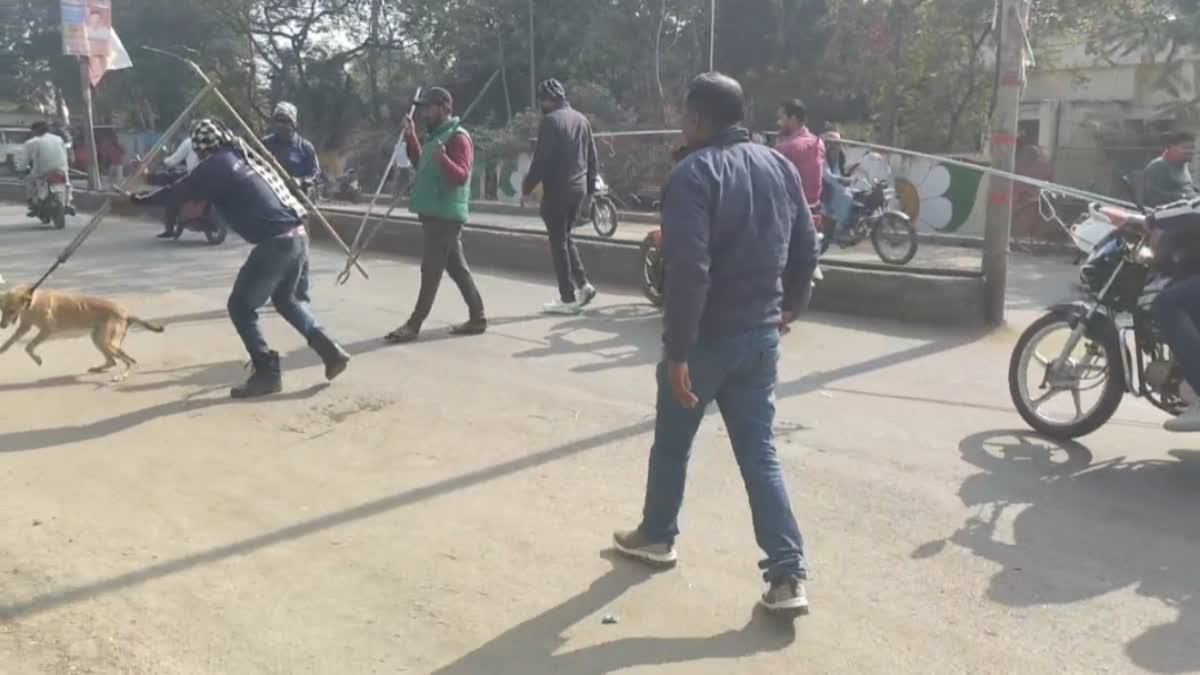 DOG BITE CASE UJJAIN