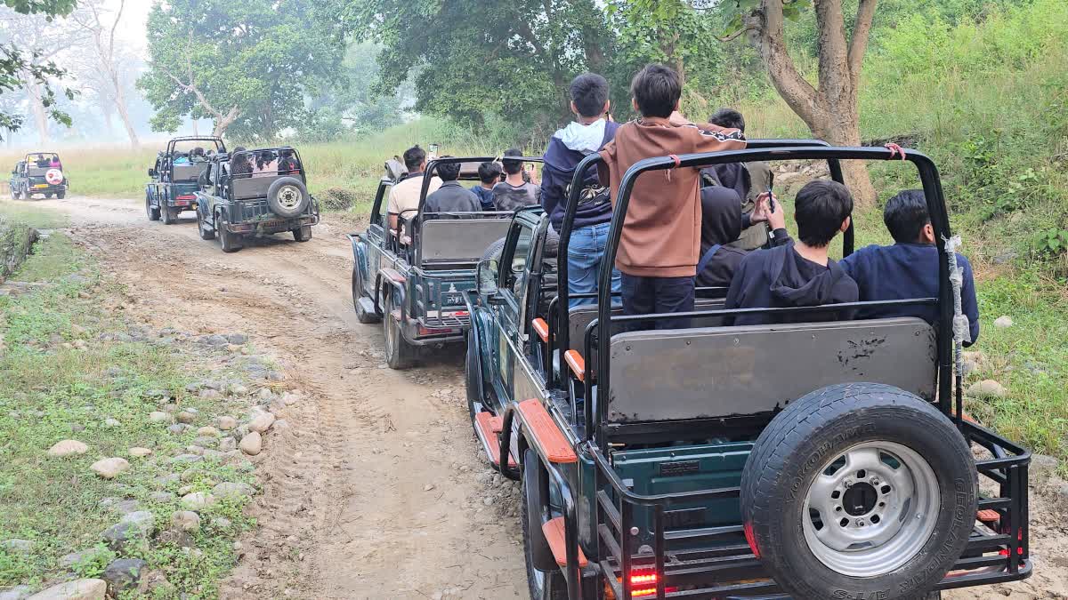 CORBETT TIGER SAFARI
