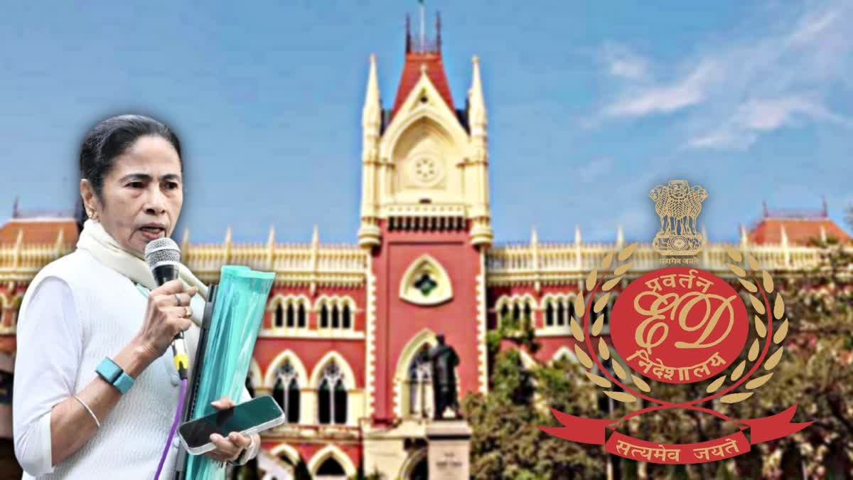 IPAC ED Search Operation