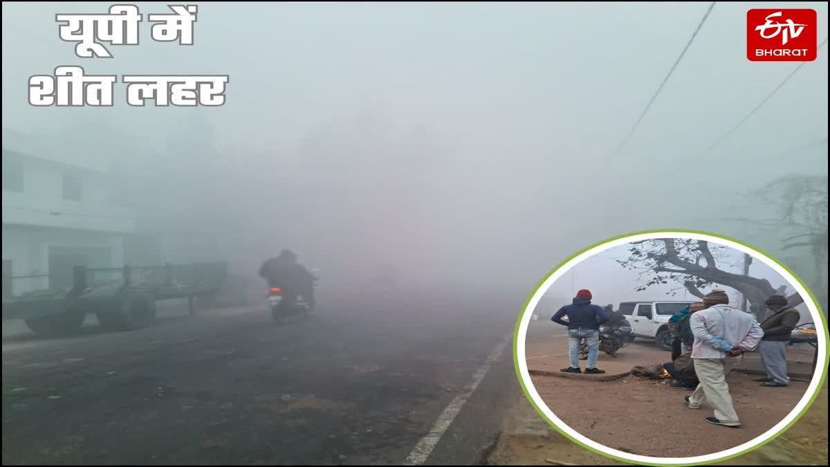 आगरा में सर्दी का सितम