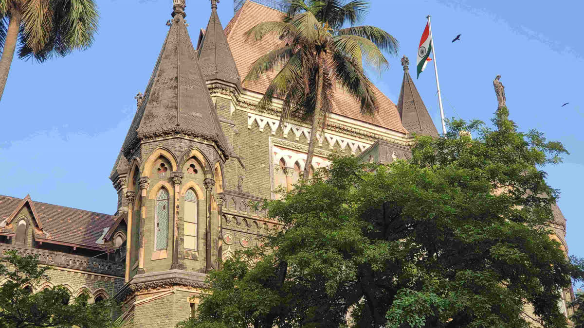 Bombay High Court Interim Stay