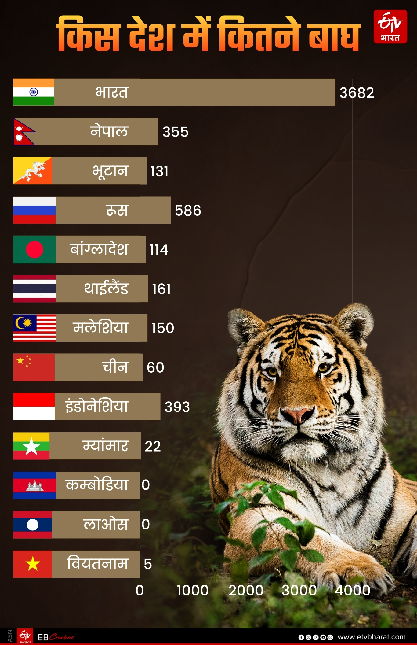भारत में सबसे ज्यादा बाघ.