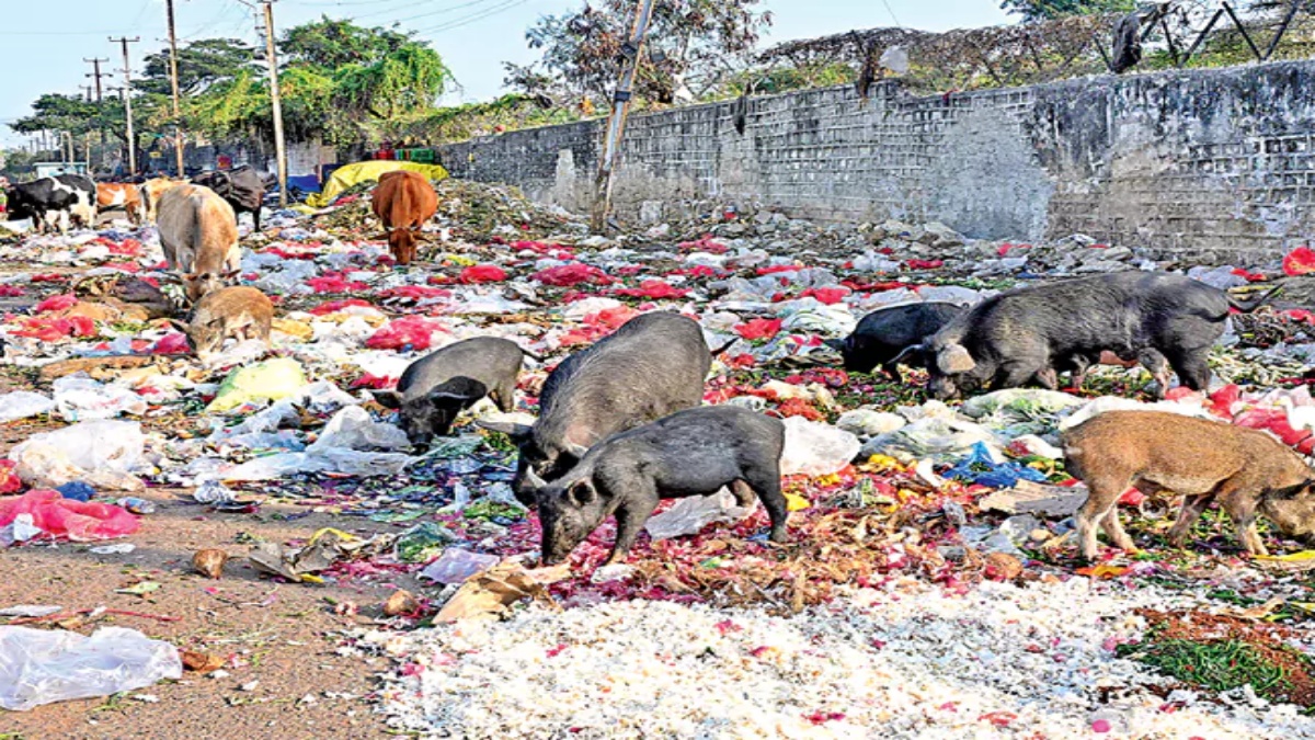 special sanitation drive in GHMC