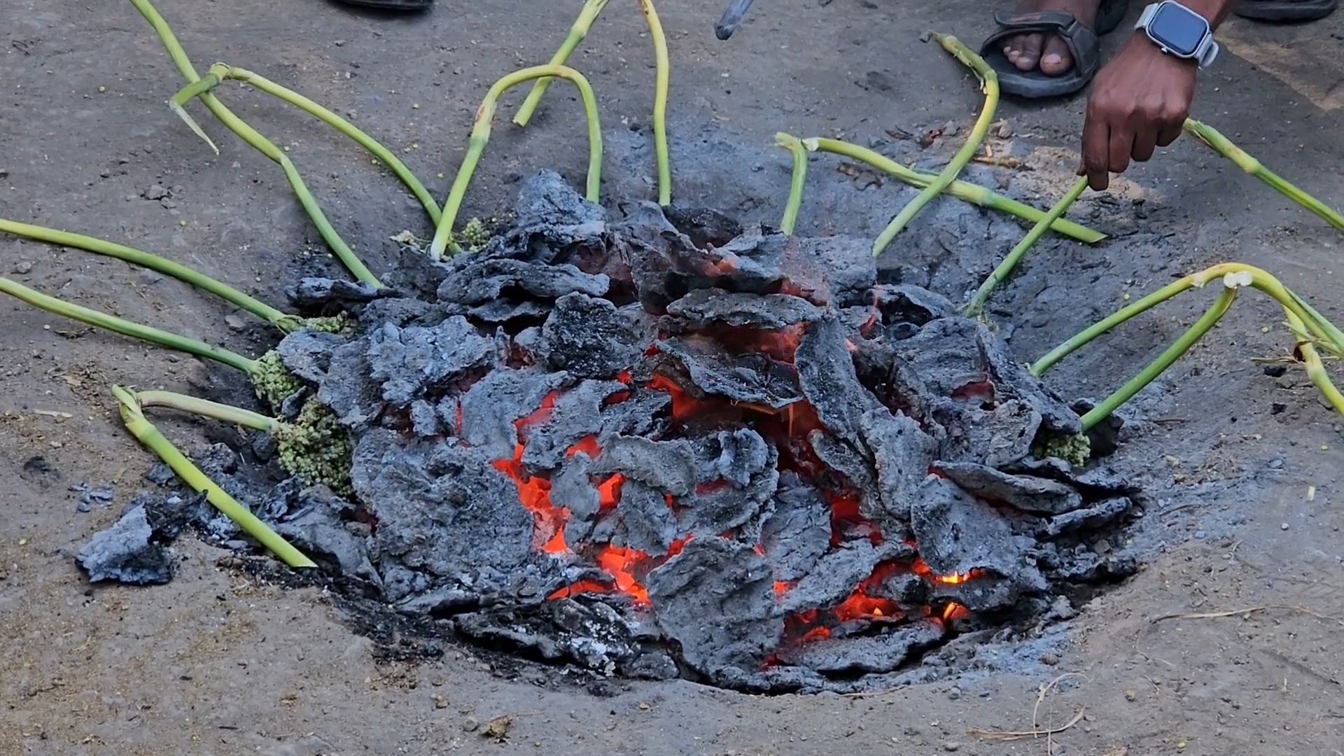 How 'Hurda' Parties Are Helping Maharashtra Farmers Earn Rs 12 Lakh