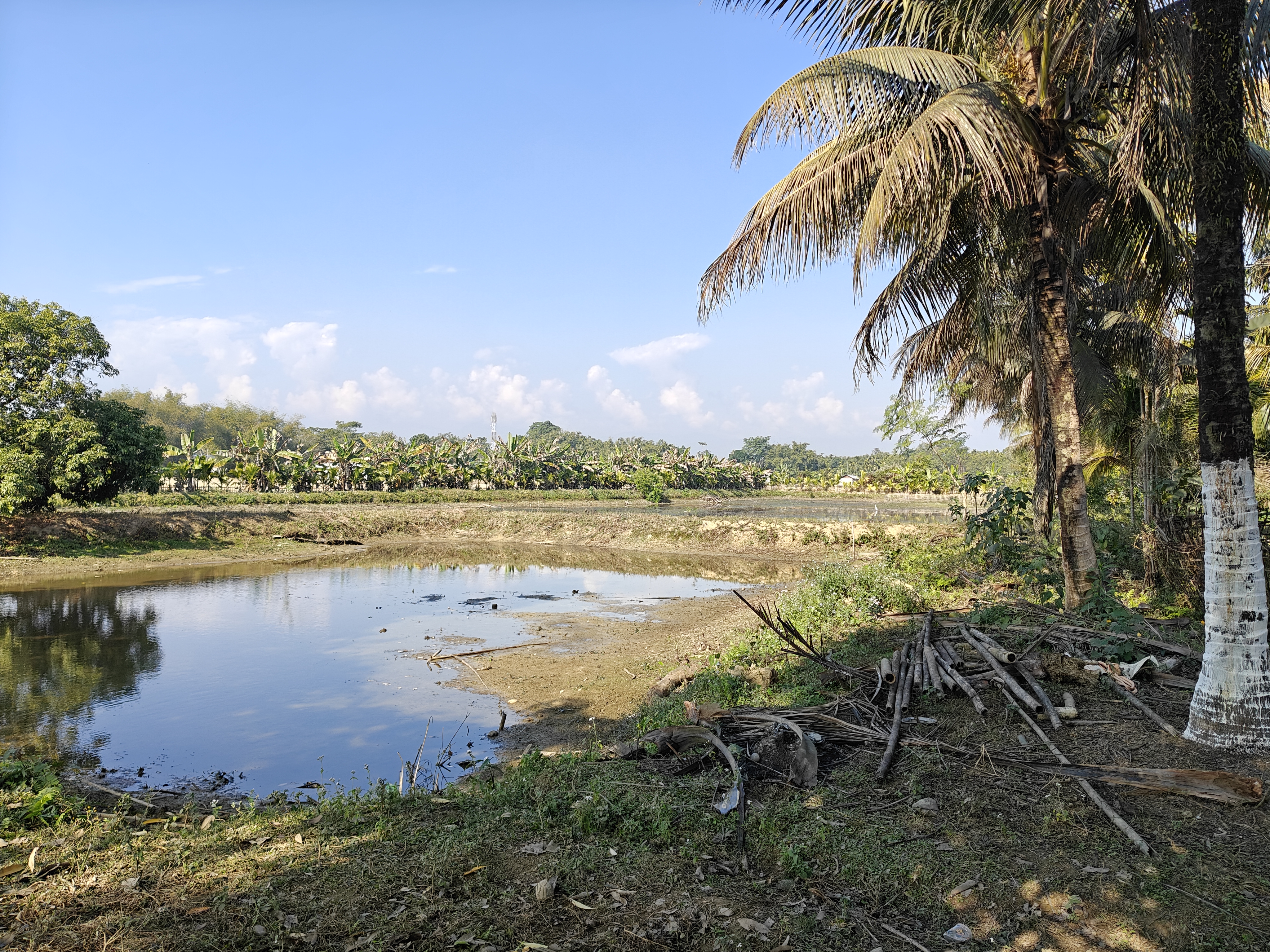 मछली पालन के लिए बनाया तालाब