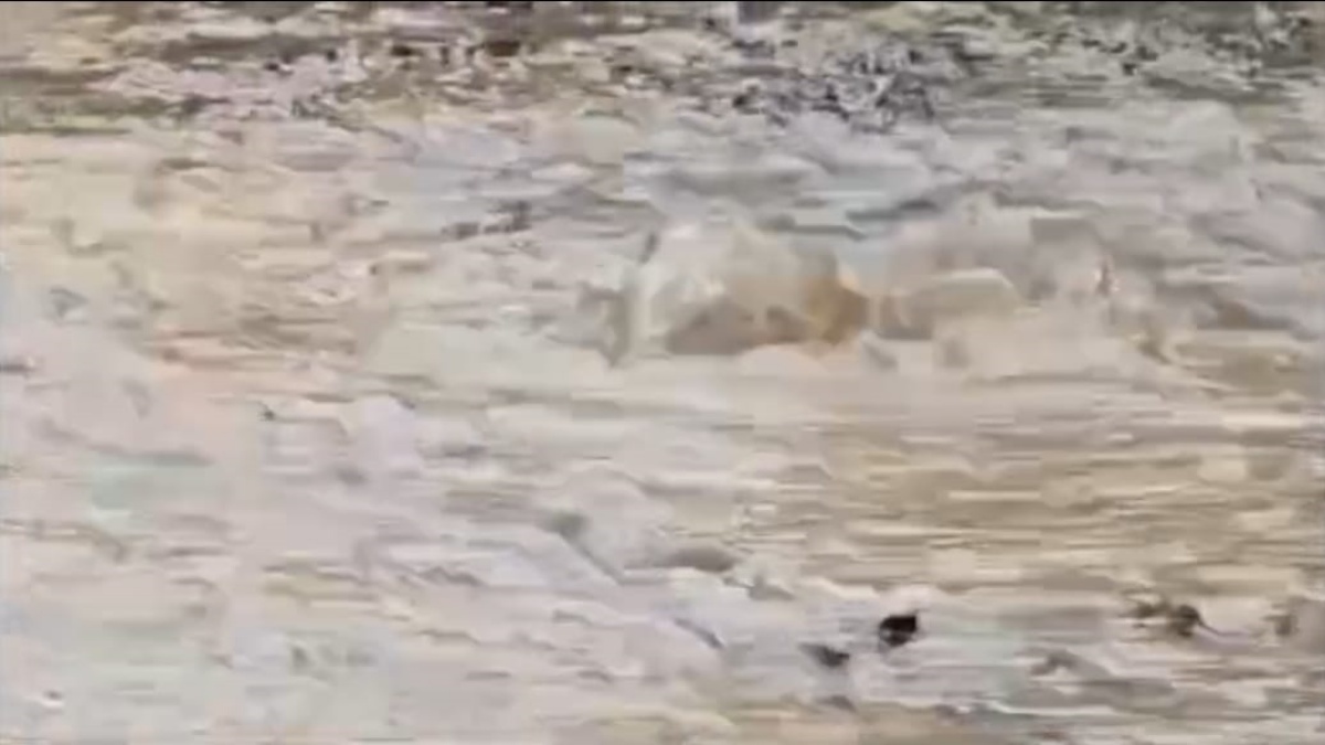 Indore deadly bacteria found