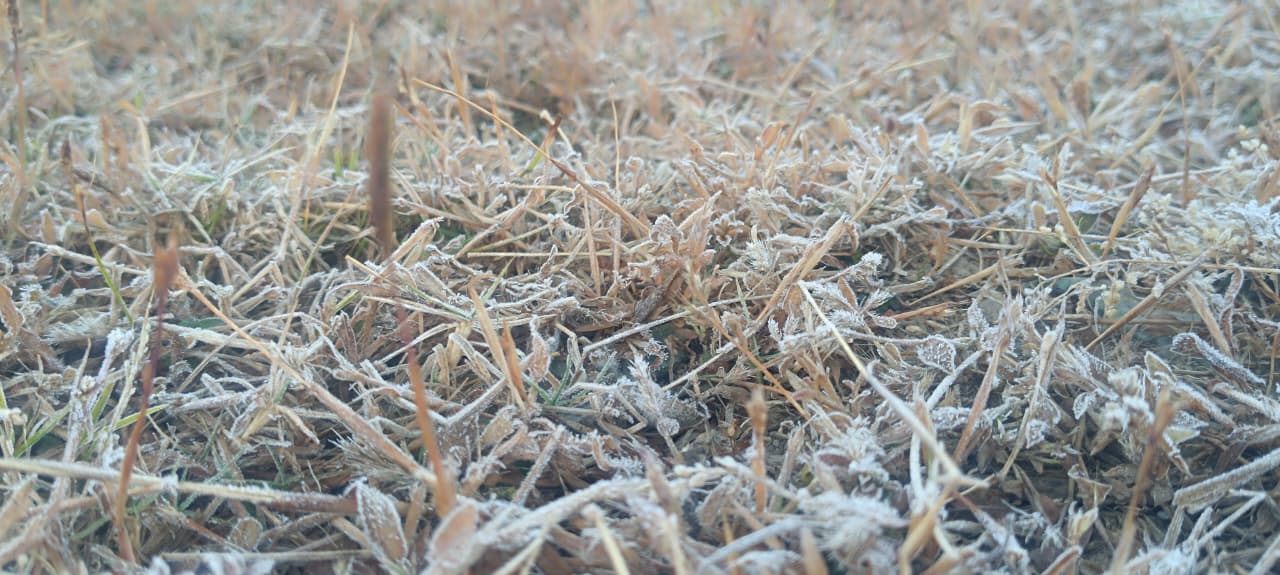 COLD WAVE BREAKS 15YR OLD RECORD