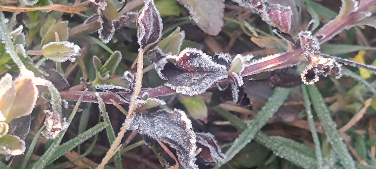 COLD WAVE BREAKS 15YR OLD RECORD