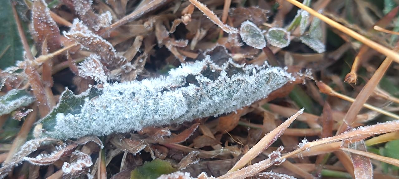 COLD WAVE BREAKS 15YR OLD RECORD