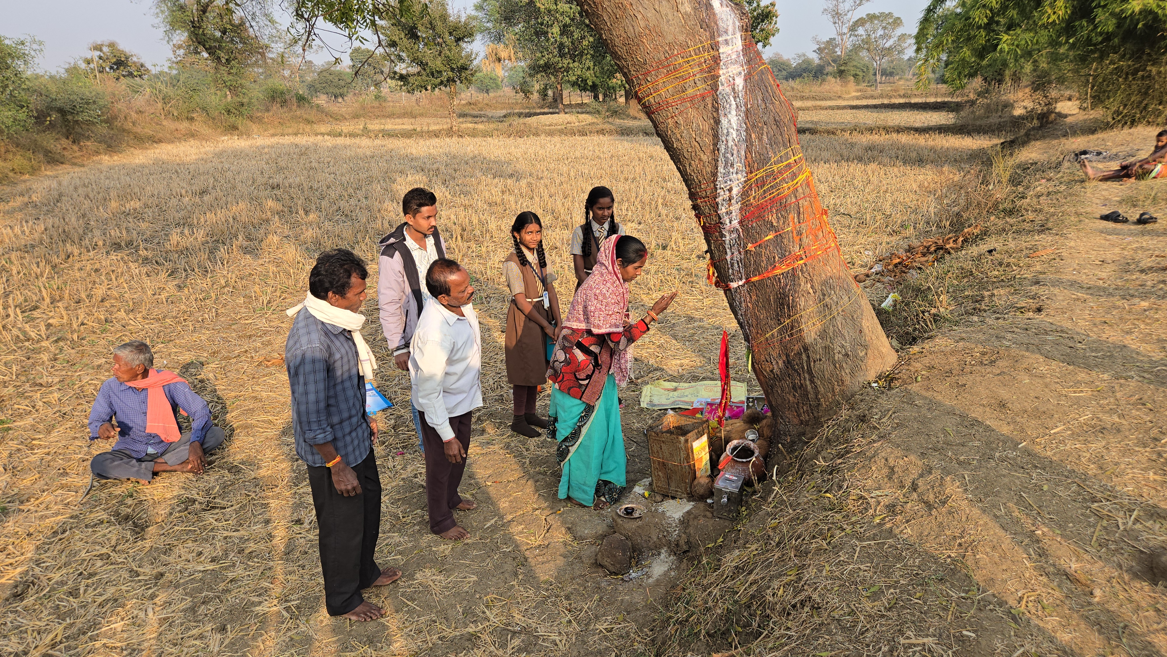 milk comes out from Neem tree