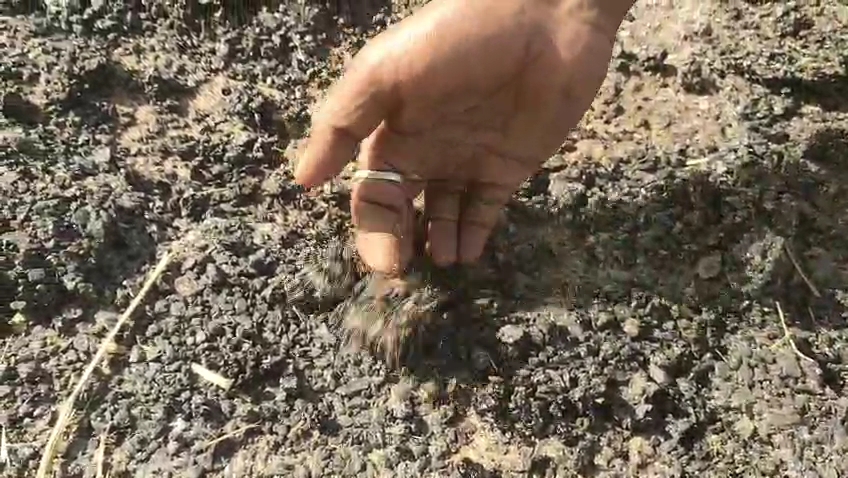 Poor Road Quality Issue