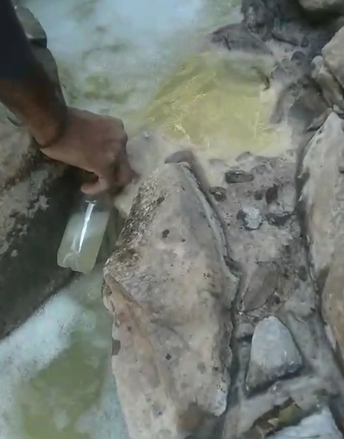 शूलिनी खड्ड के पानी का सैंपल फेल