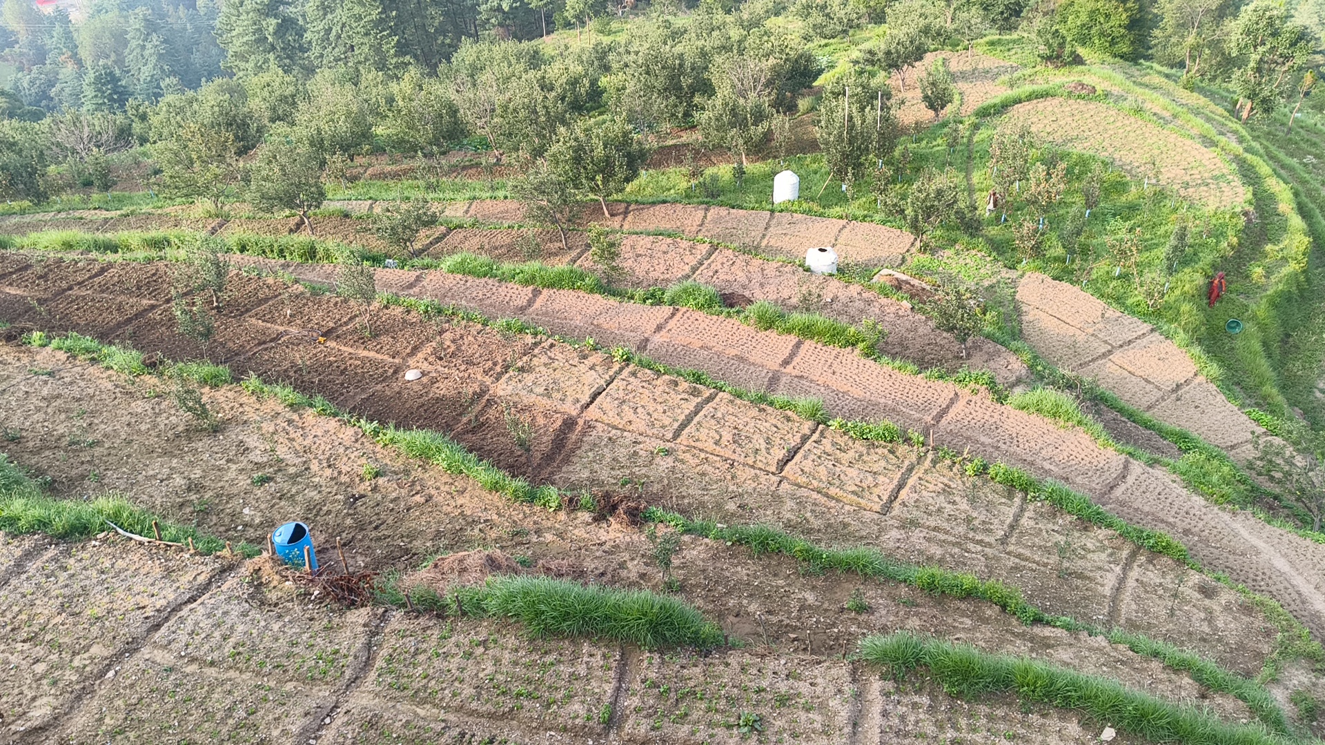 हिमाचल प्रदेश में खेती