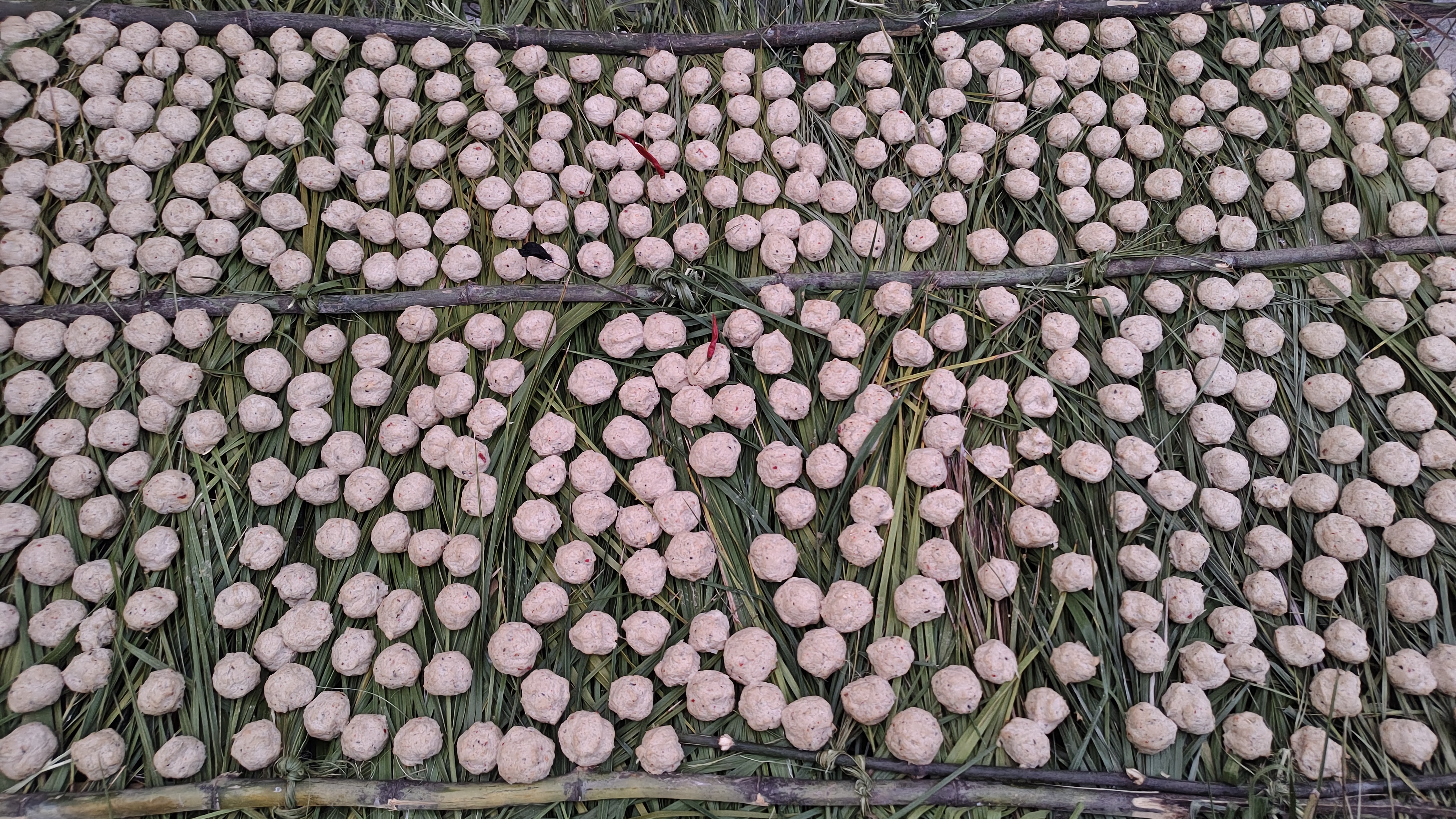 SHAHDOL Traditional Food