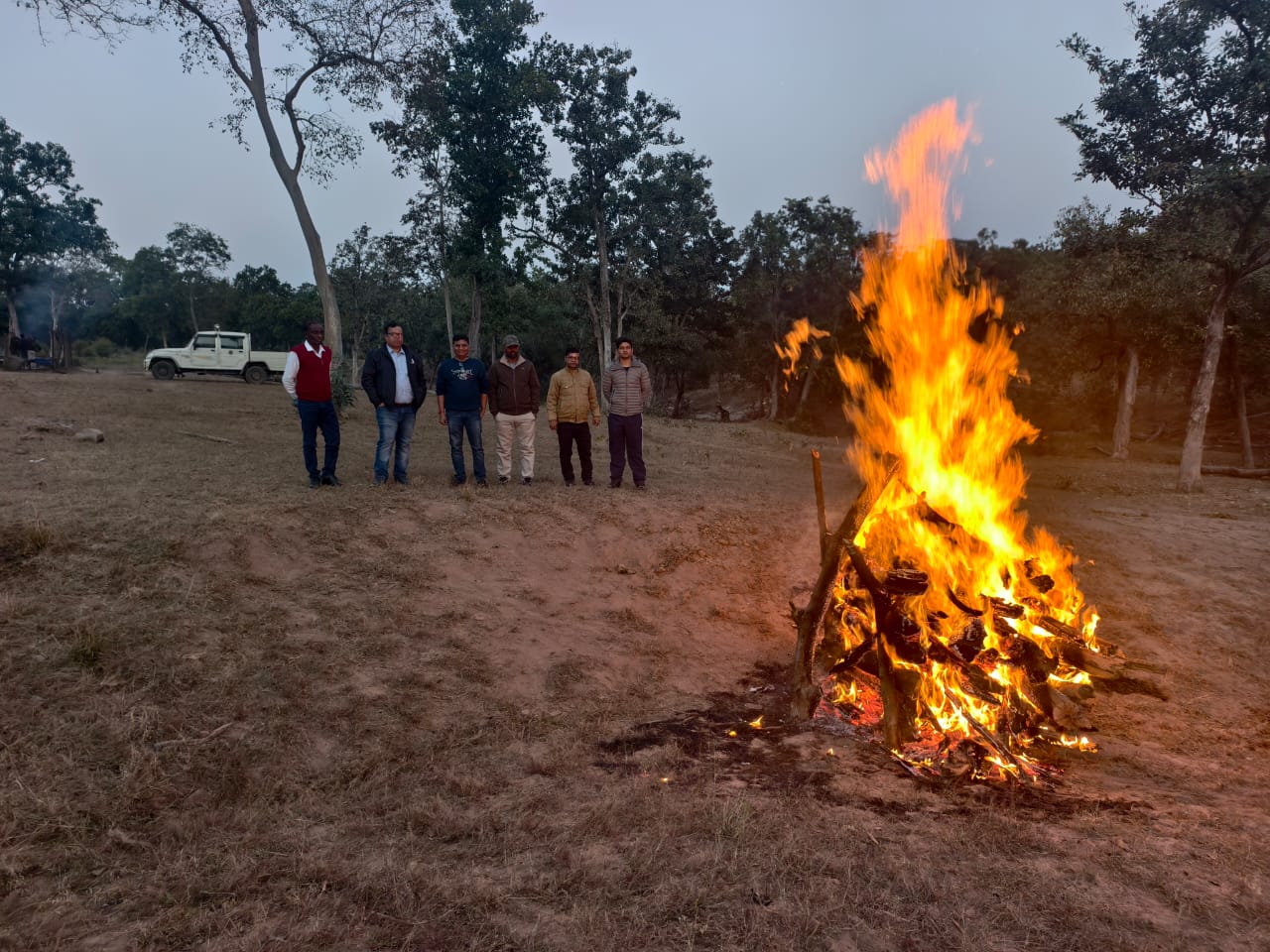 Female Tiger Died in Bandhavgarh