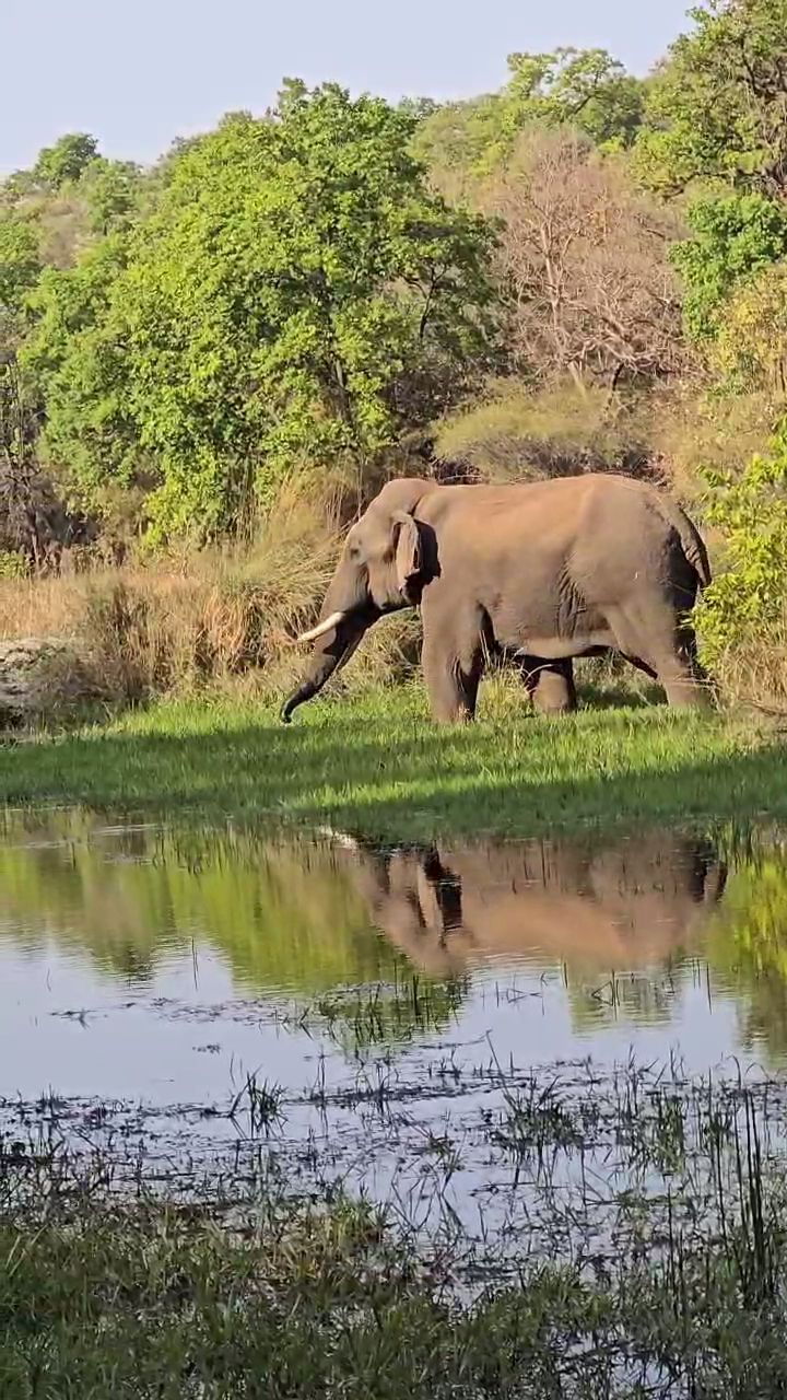 UMARIA BANDHAVGARH TIGER RESERVE