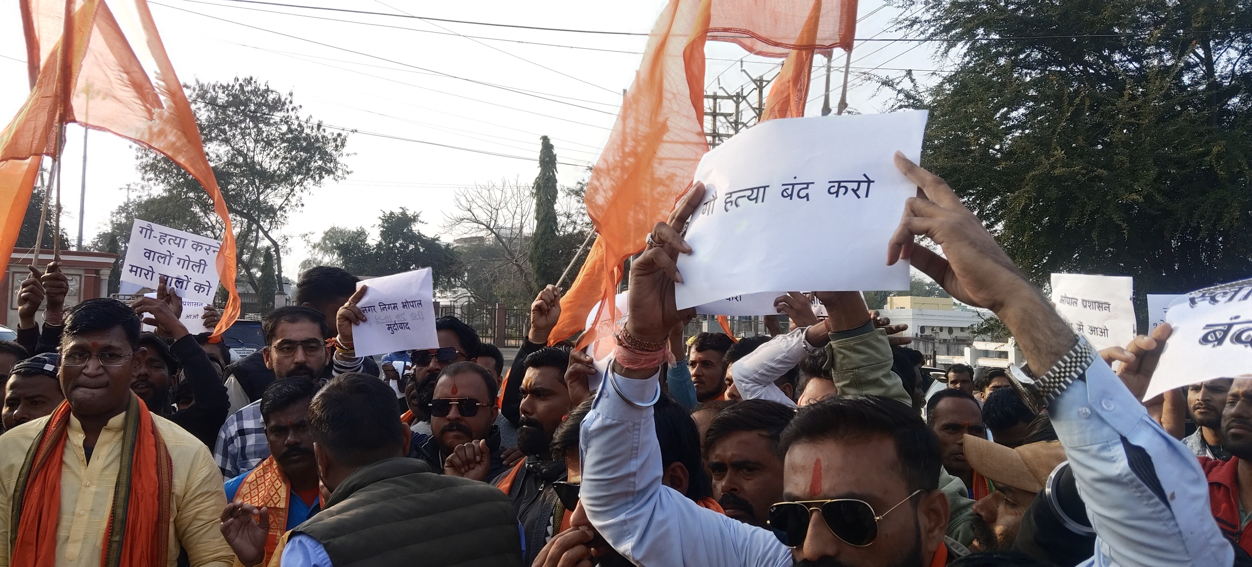 Hindu organizations Demonstration