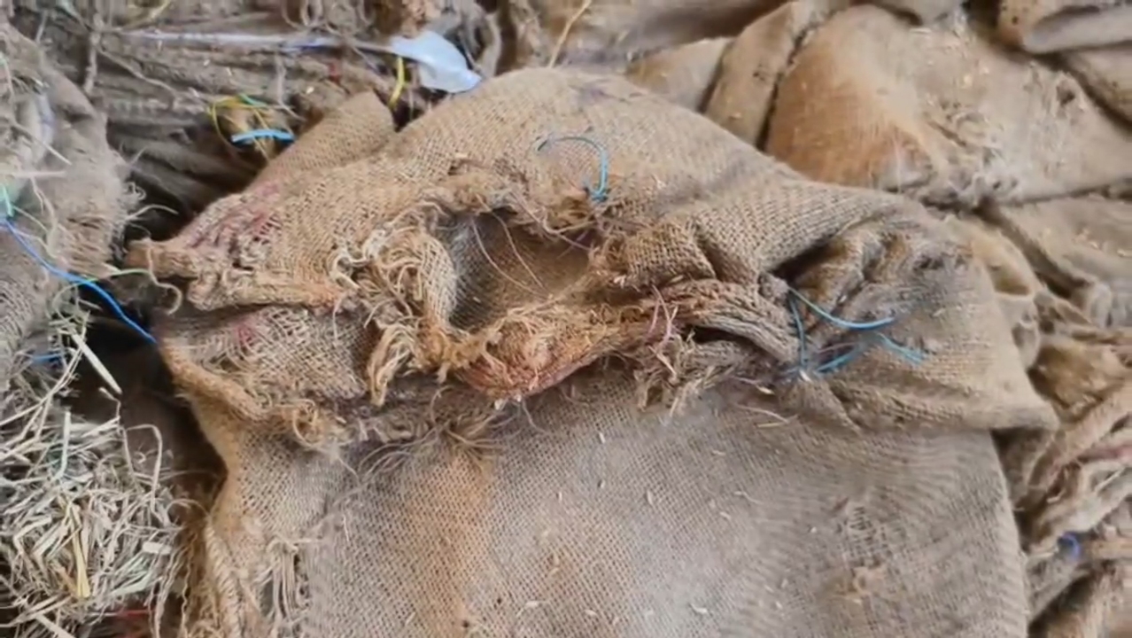 ମିଲର୍ସଙ୍କ ପକ୍ଷରୁ ଆସୁଥିବା ଅଖା ବ୍ୟବହାର ଯୋଗ୍ୟ ହେଉନାହିଁ।