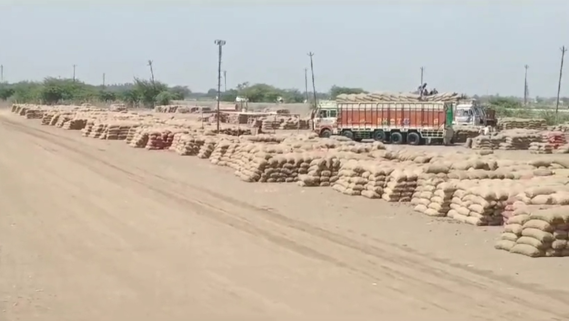 મહુવા માર્કેટિંગ યાર્ડમાં ડુંગળીની ભારે આવક