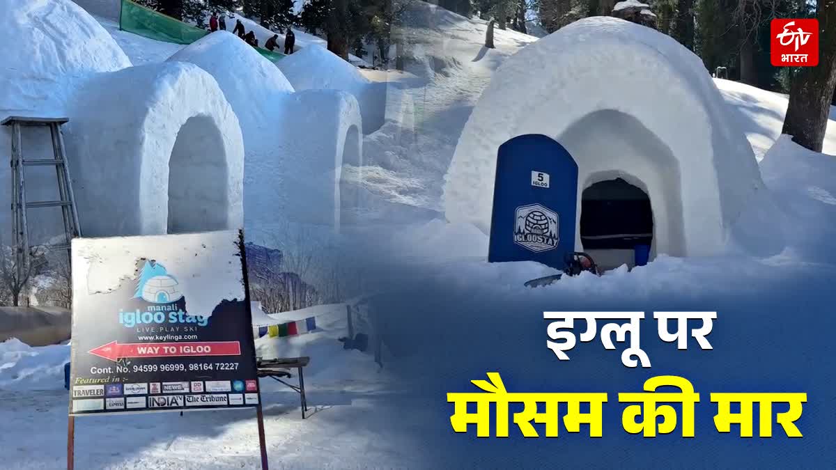 MANALI IGLOO