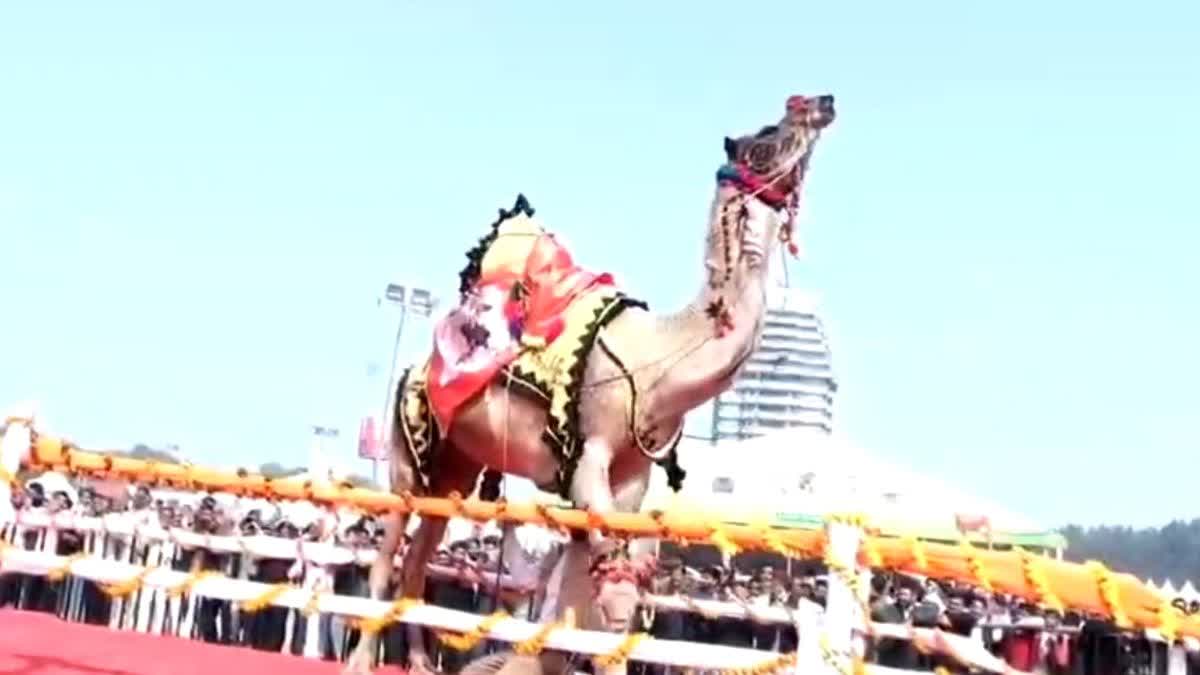 KURUKSHETRA PASHU MELA