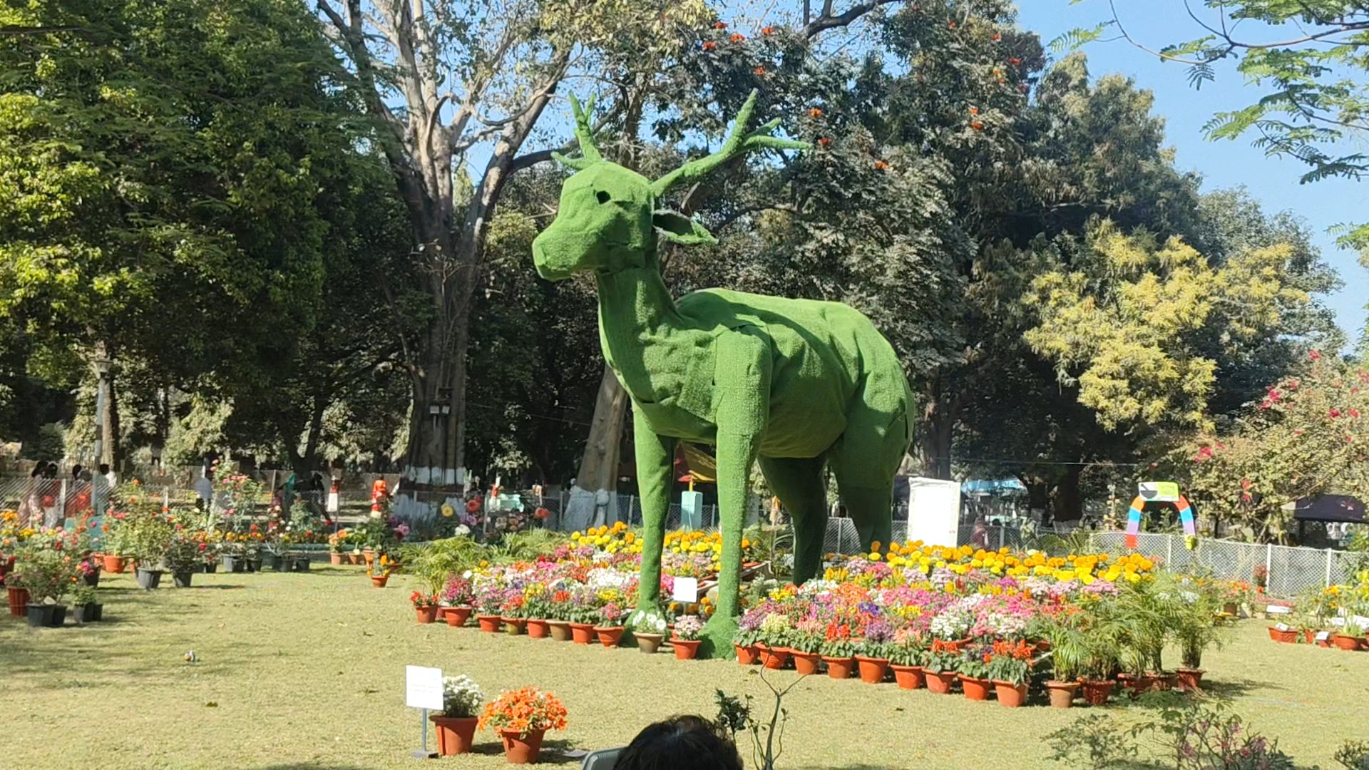 Models decorated with flowers