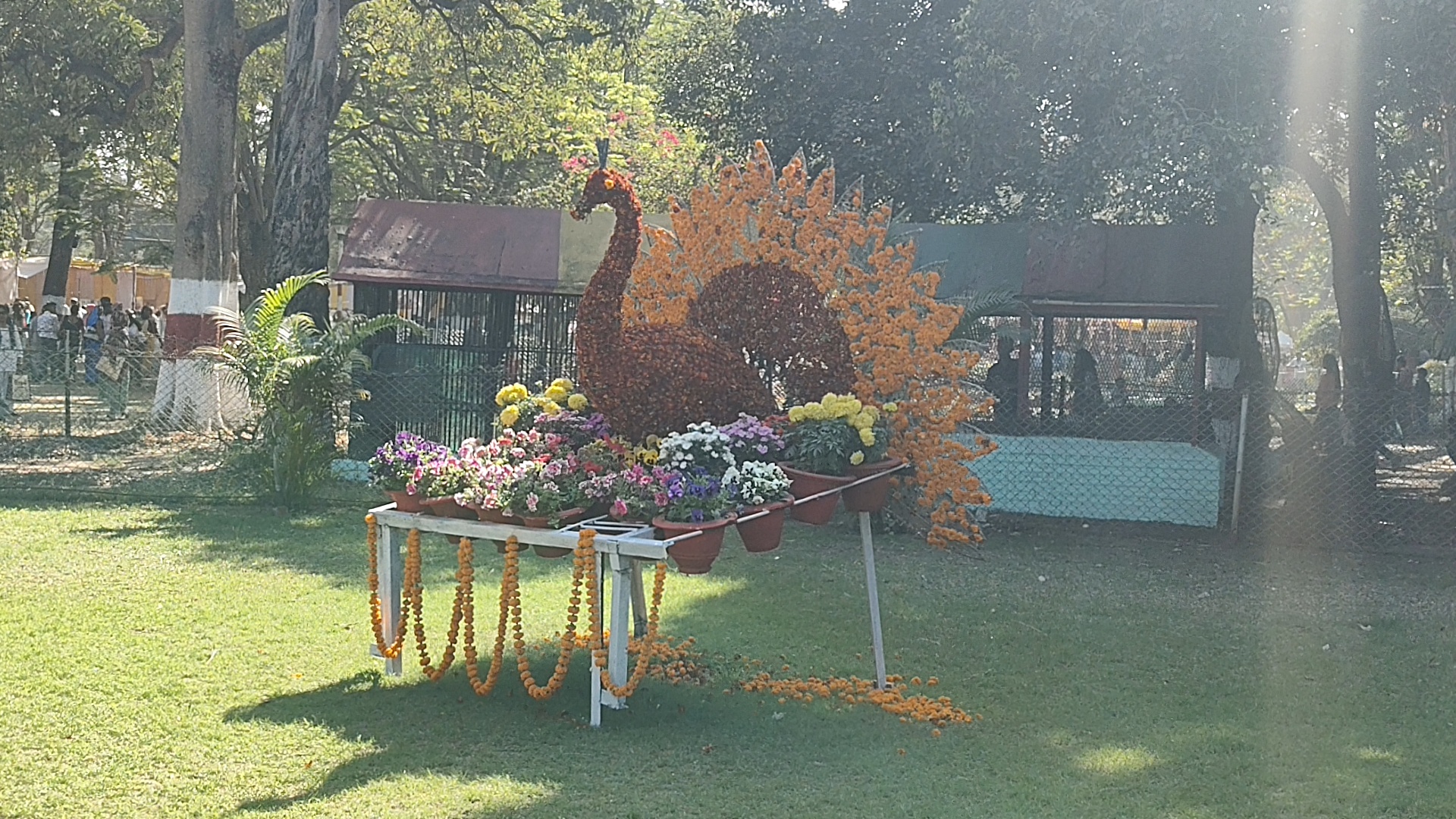 Maitri Bagh Zoo has been decorated.