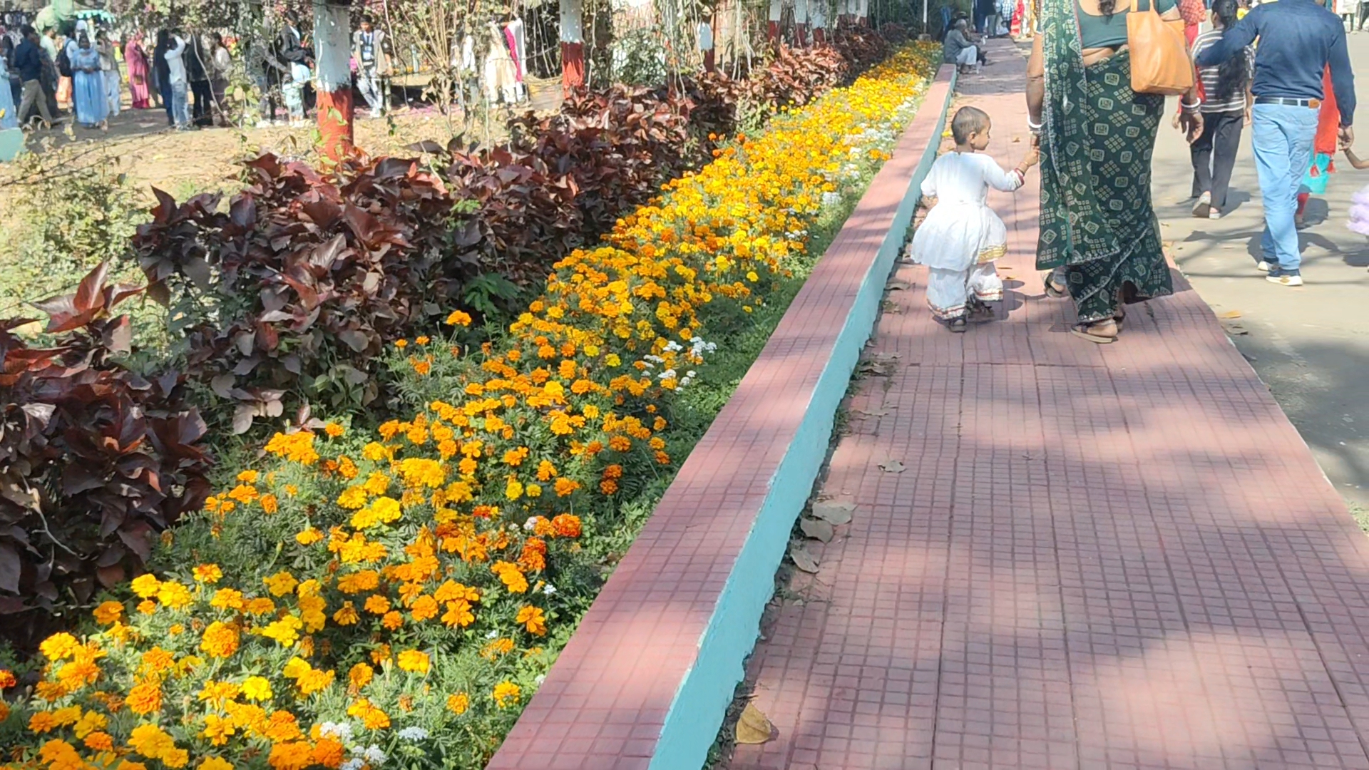 Flower Show in Durg Bhilai