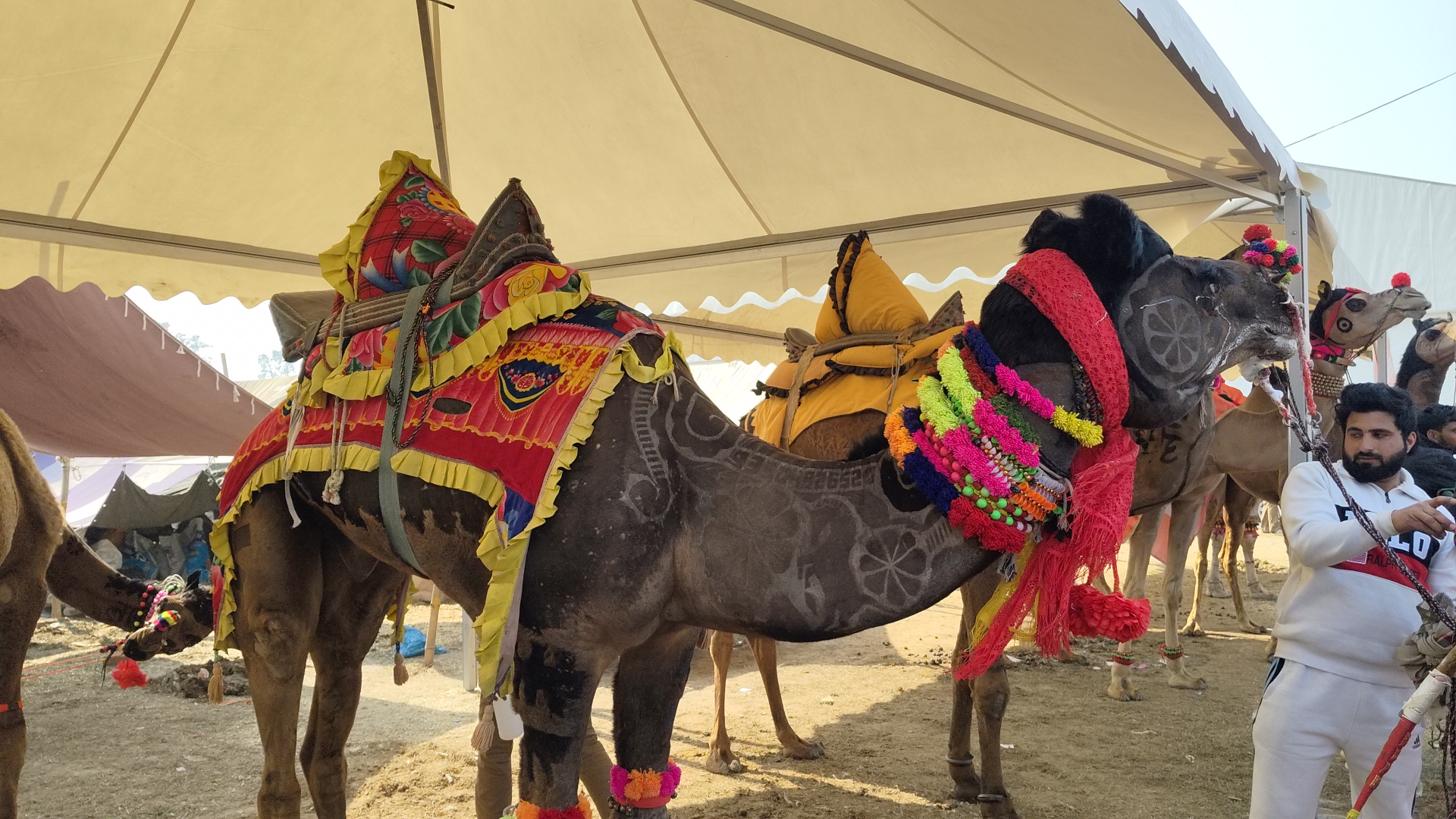 KURUKSHETRA PASHU MELA