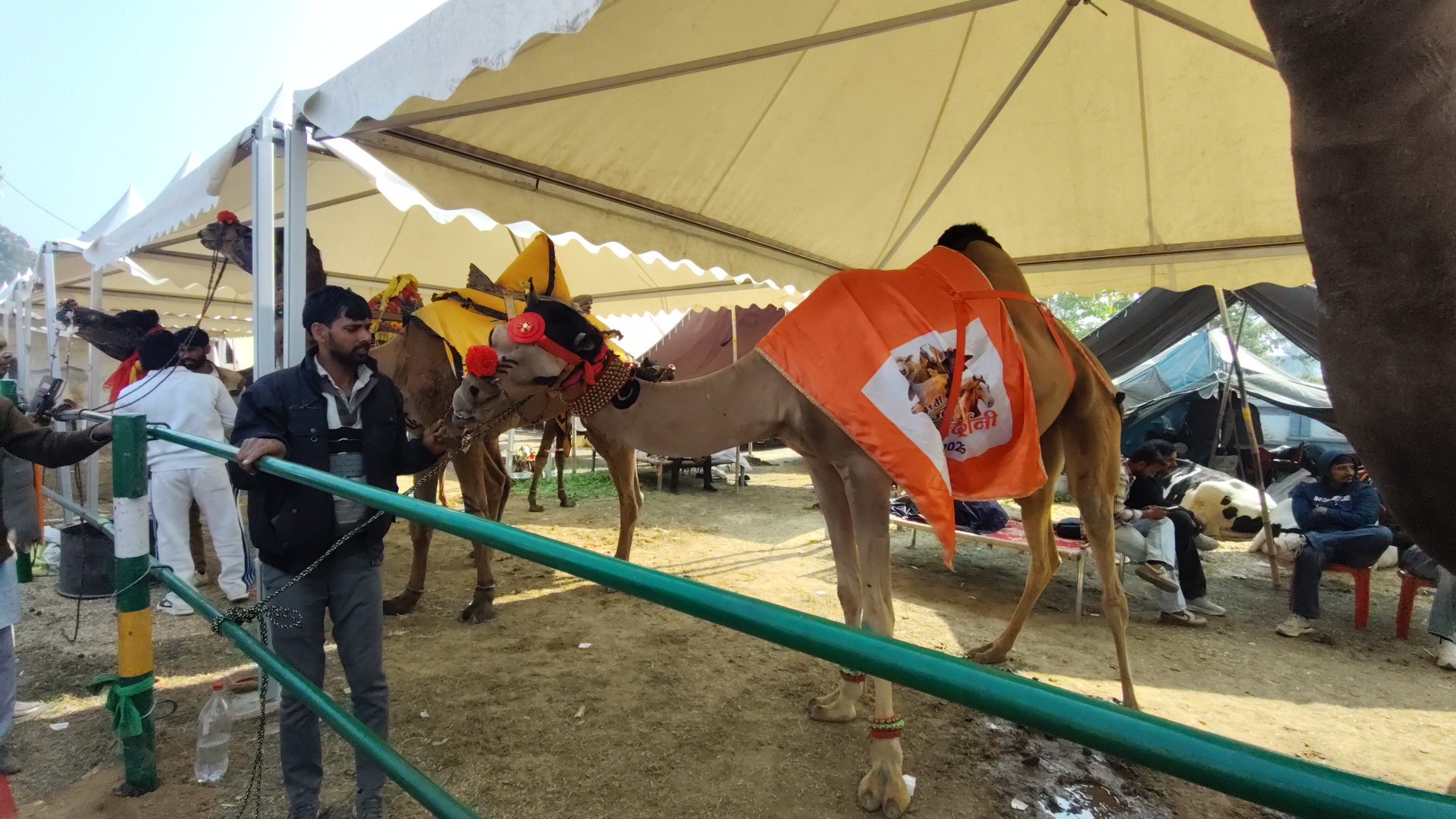 KURUKSHETRA PASHU MELA