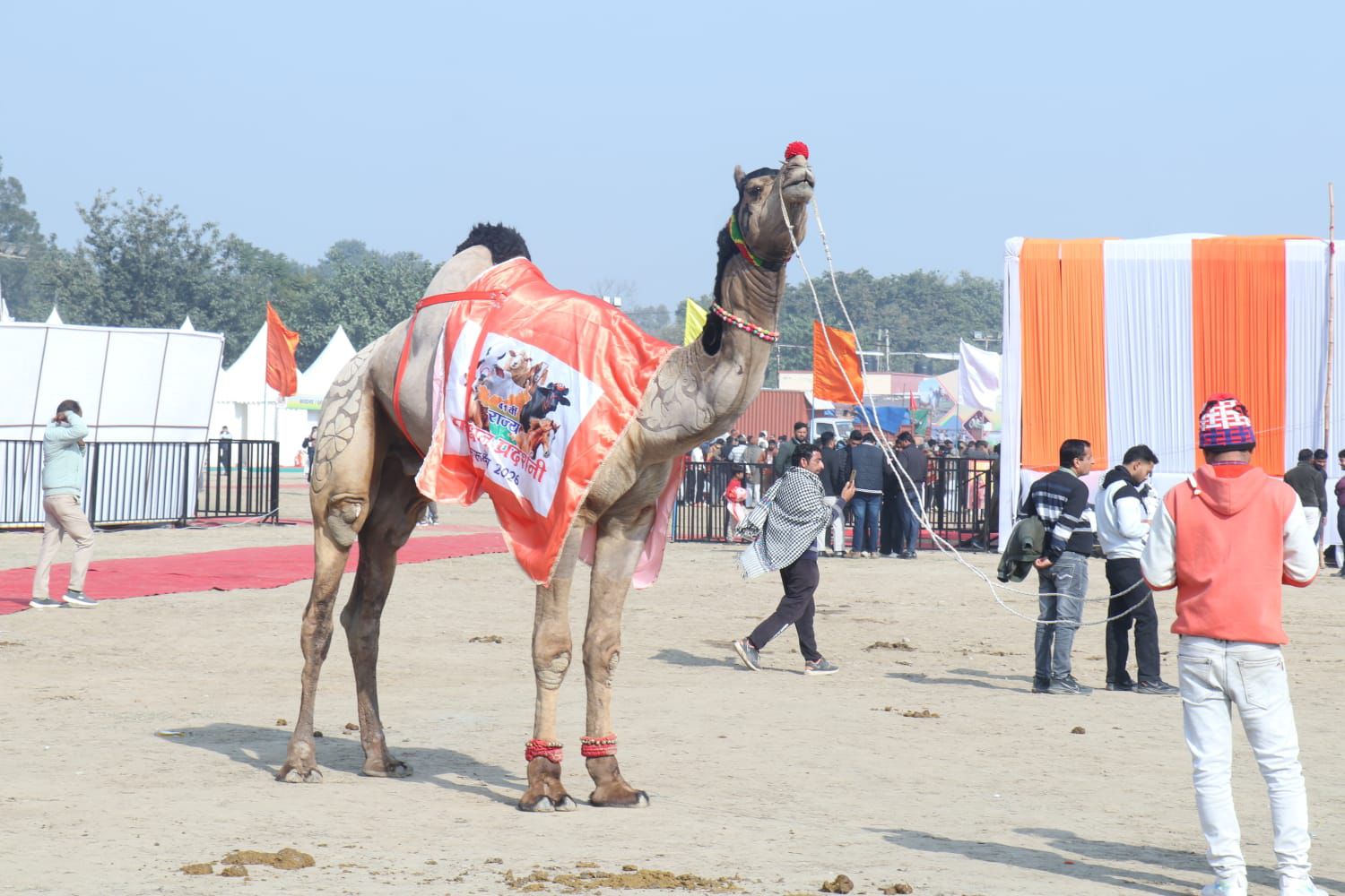 KURUKSHETRA PASHU MELA