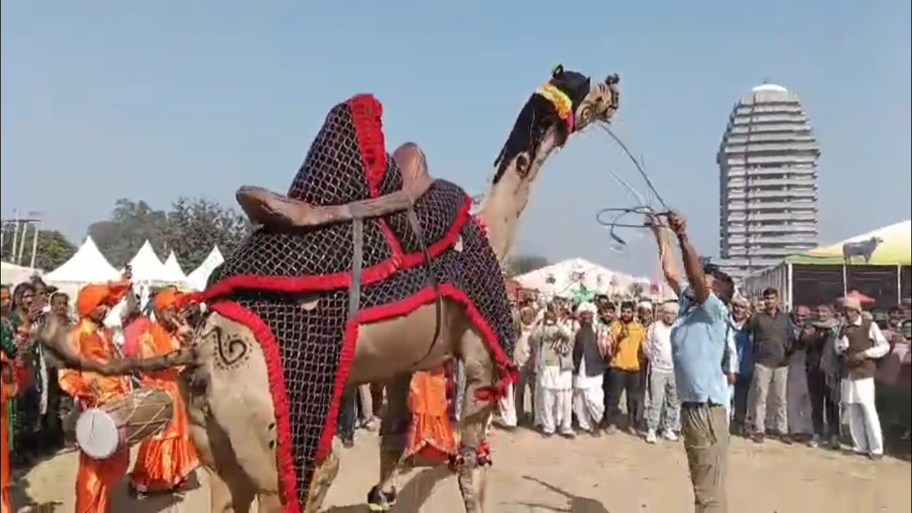 KURUKSHETRA PASHU MELA