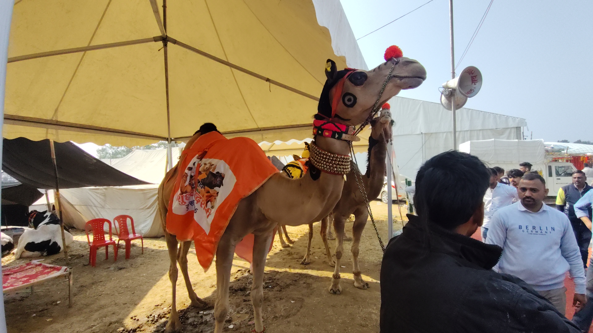 KURUKSHETRA PASHU MELA