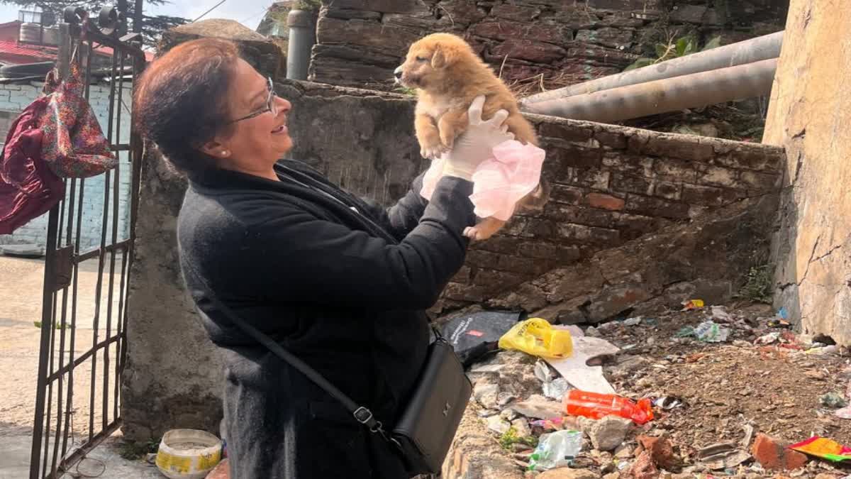 रेणु लुथरा का बेजुबानों के प्रति प्यार