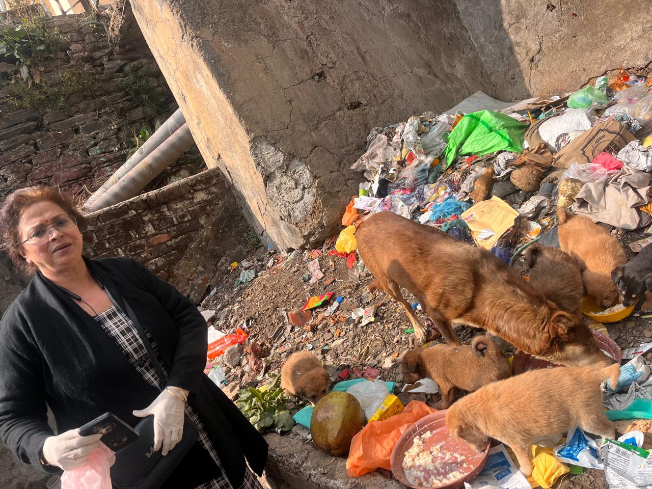 रोजाना 35 से अधिक स्ट्रे डॉग्स को रेणु लुथरा खिलाती हैं खाना