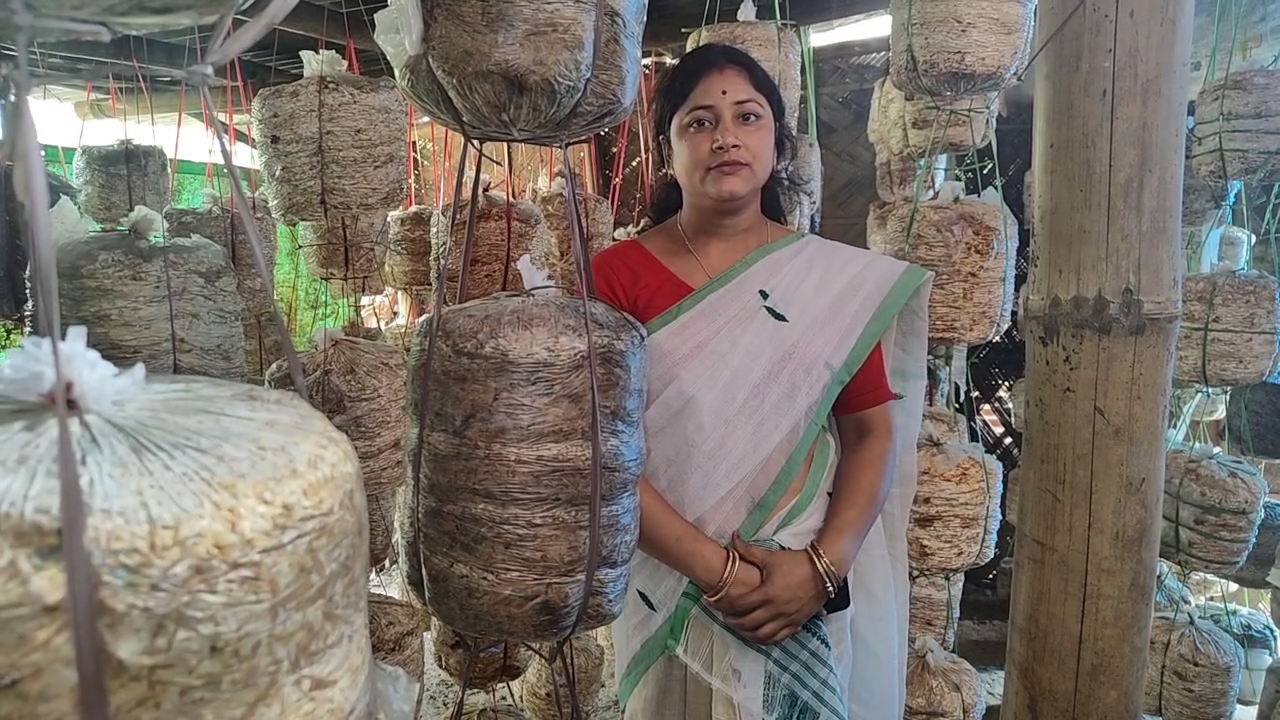 A women from Rangia has become self reliant in mushroom cultivation