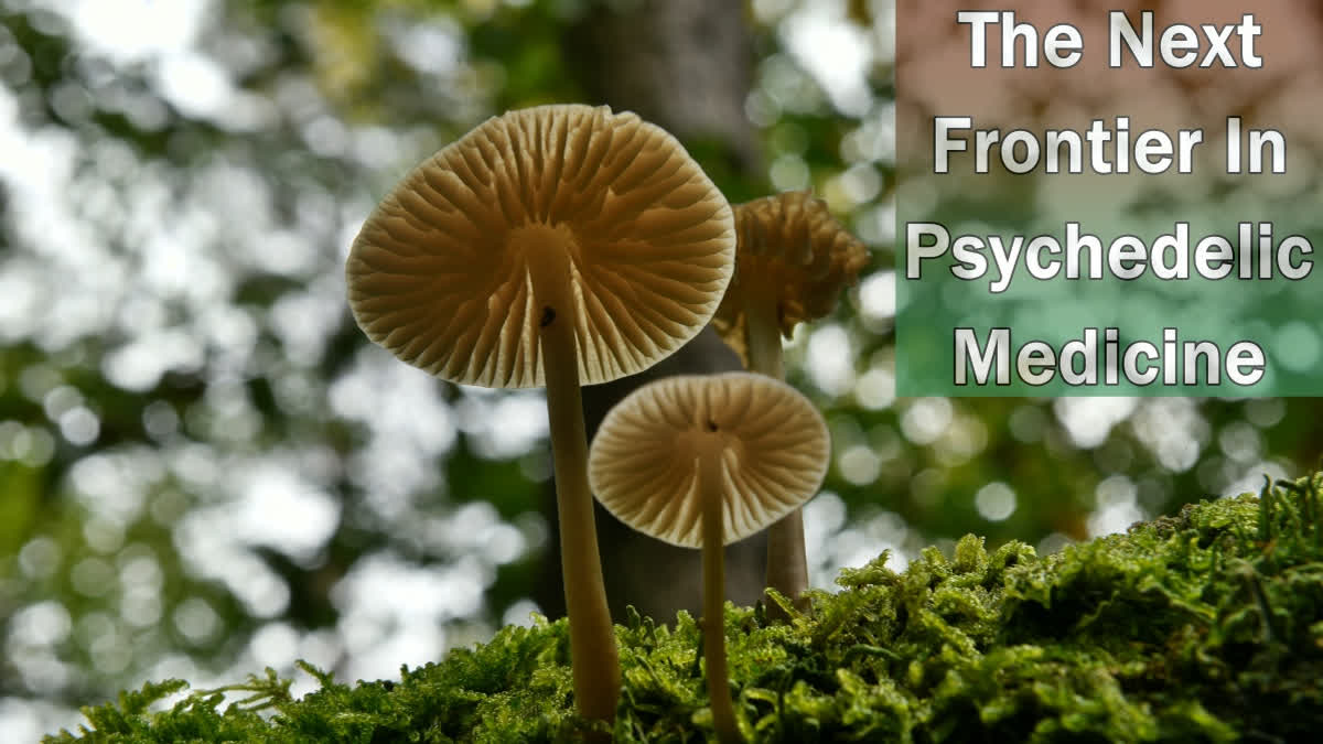 Magic mushrooms