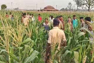 पटना में मिला युवक का शव