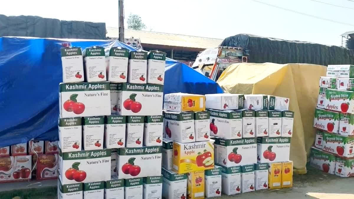 NITI Aayog Roadmap Highlights Productivity Gaps, Rs 1,500 Crore Losses In Jammu Kashmir's Horticulture