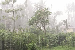 hundersquall as Kaal Baisakhi
