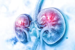 Foods to Avoid for Kidney Health