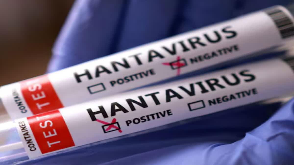 Hantavirus