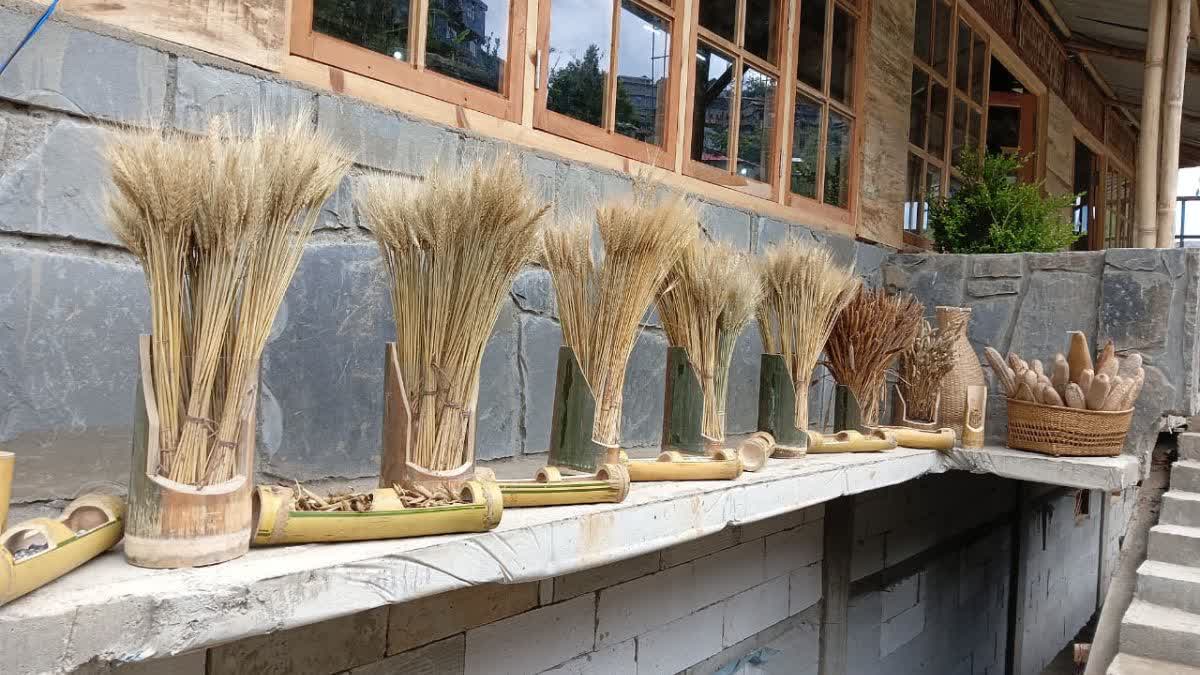 Seed Bank and Learning Centre