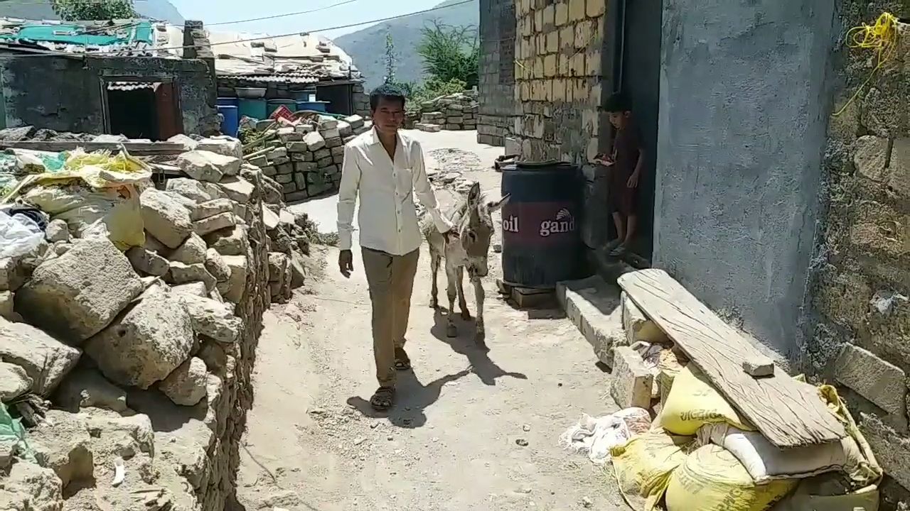 World Donkey Day