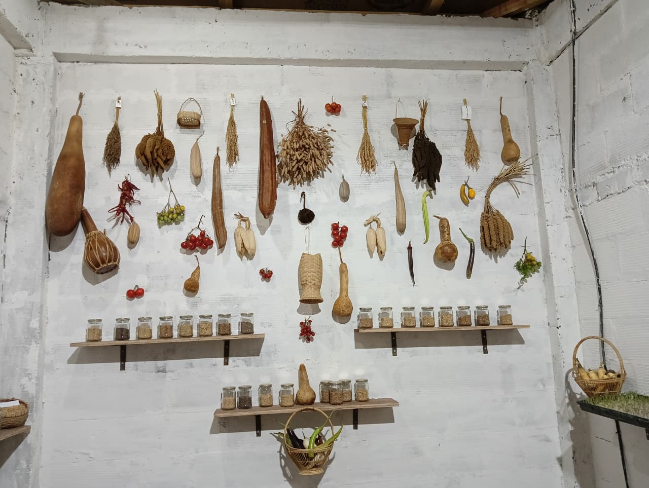 Seed Bank and Learning Centre