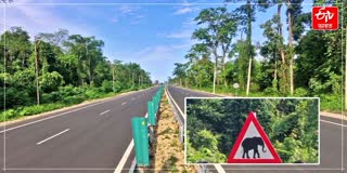 Poba Reserve Forest