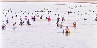 PUBLIC LOOTED FISHES KURAVI POND