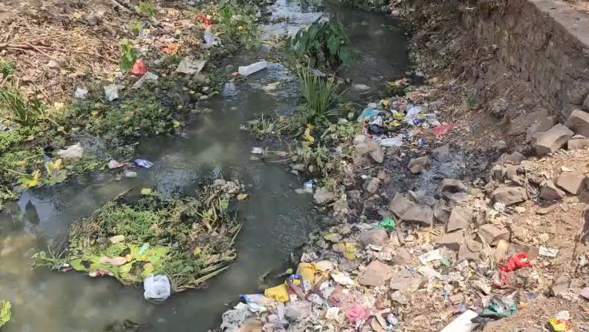 Problem of water logging in Kosa drain