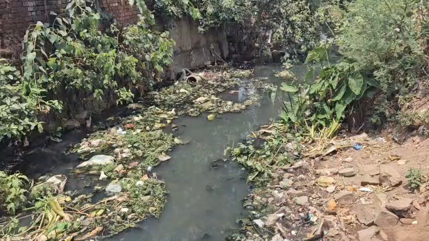 Problem of water logging in Kosa drain