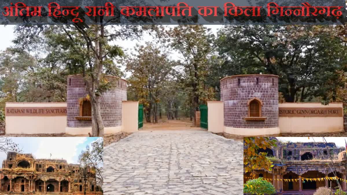 raisen Ginnaurgarh Fort history